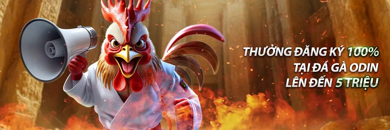 Hướng dẫn chi tiết các bước cá cược tại 666vn