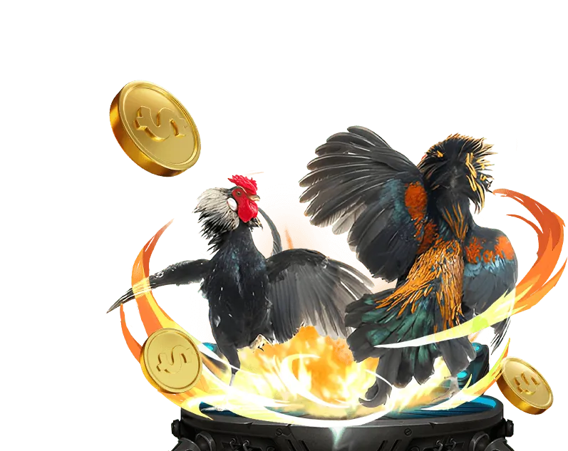 Lịch sử phát triển 666vn